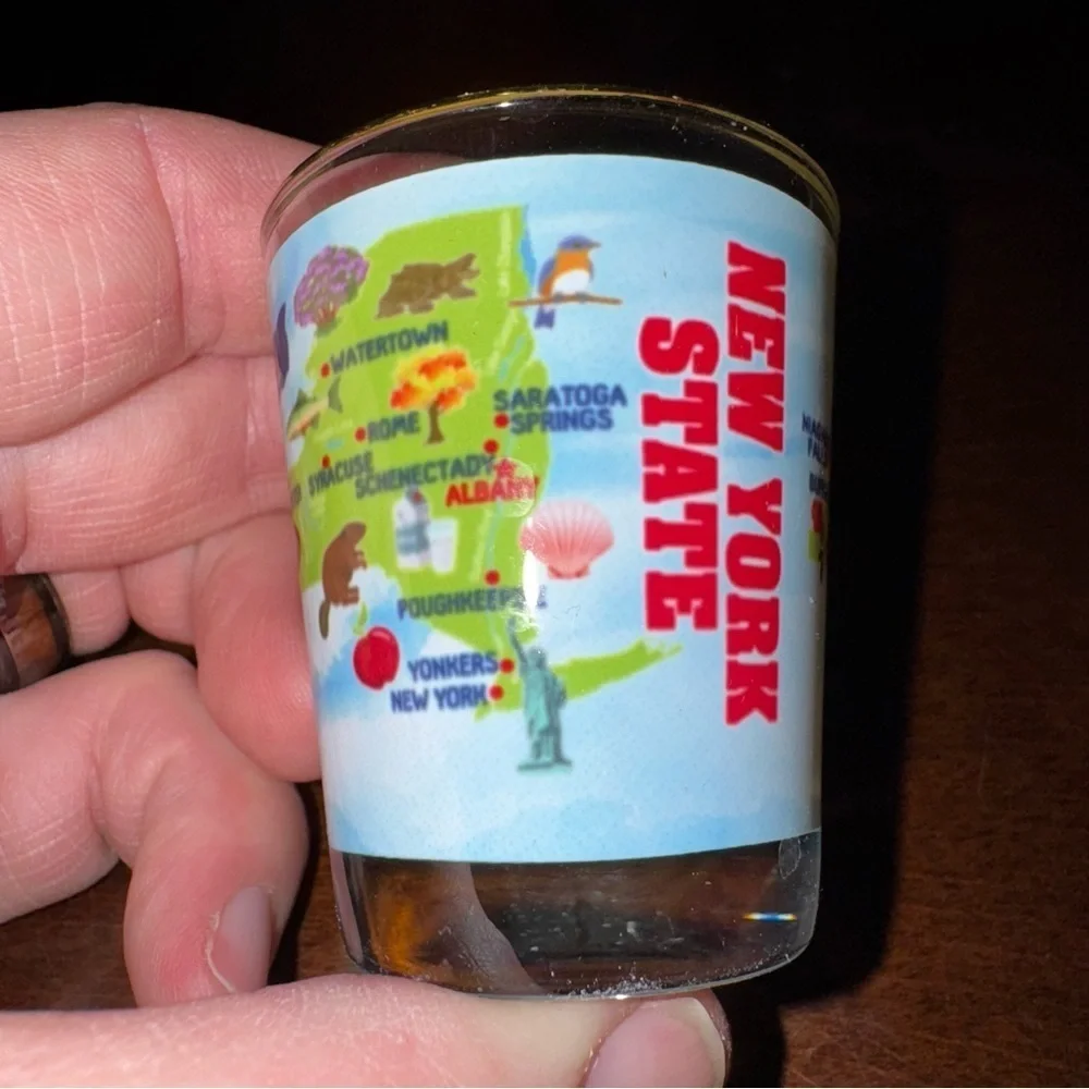 All Over Graphic Print New York State Souvenir Shot Glass 2”